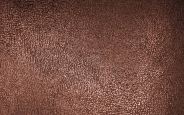 Cuir Marron Texture Fond — Photo