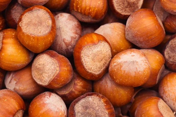 Nuts Hazelnuts Background — Stock Photo, Image