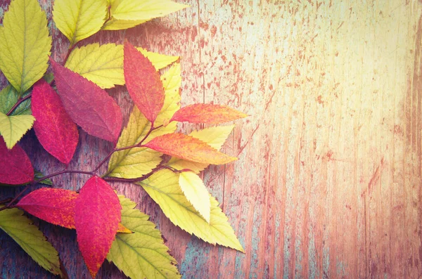 Осенние Листья Деревянном Фоне Копировальным Пространством — стоковое фото