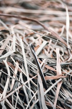 Samanlıkta iğne aramak..