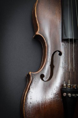 Orkestranın keman müzik aleti siyah üzerine izole edilmiş.