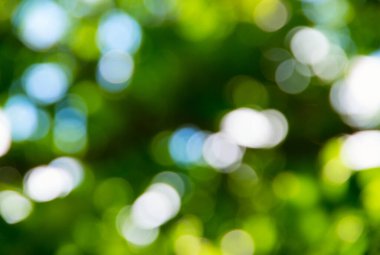 Doğal bulanık arkaplan dokusu