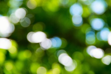 Doğal bulanık arkaplan dokusu