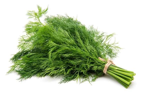 Fresh Dill Close Fundo Branco — Fotografia de Stock