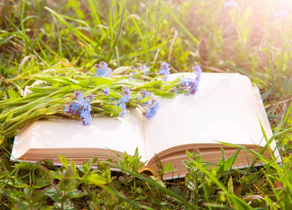 Çiçekli Yeşil Çimenler Üzerine Açık Bir Kitap — Stok fotoğraf