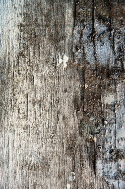 eski ahşap tahta, arka plan