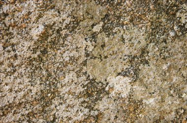 Taş kahverengi arkaplan dokusu