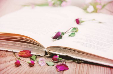 Kuru güller ve eski kitaplar. Tonu ayarlanmış resim