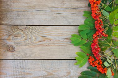 Ahşap zemin üzerinde ashberry