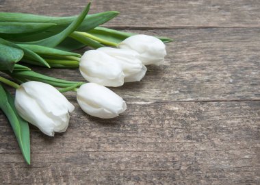 Eski bir tahtanın üzerinde bir grup bahar lalesi.