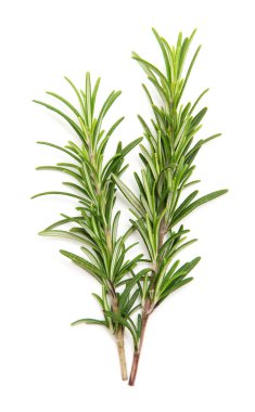 Beyaz arka planda bir dal biberiye