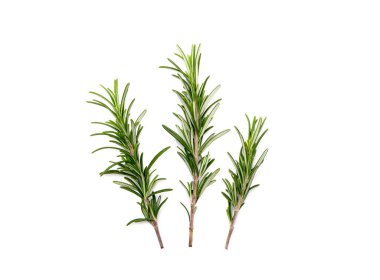 Beyaz arka planda bir dizi taze biberiye.