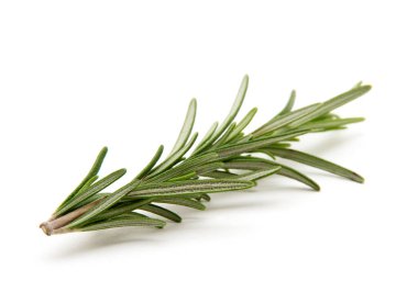 Beyaz arka planda bir dal biberiye