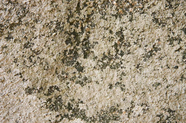 Stone Brown Background Texture — Stock Photo, Image