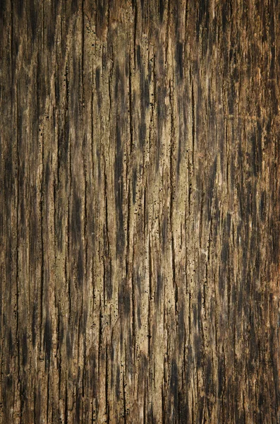 Brązowy Grunge Tekstury Drewna — Zdjęcie stockowe