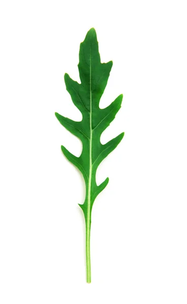 Groene Arugula Blad Geïsoleerd Wit — Stockfoto