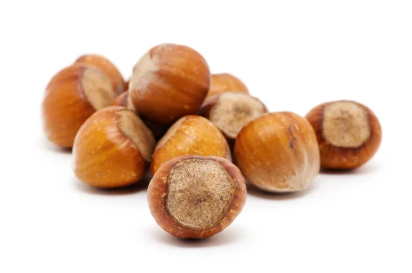 Hazelnuts White Background — Stock Photo, Image