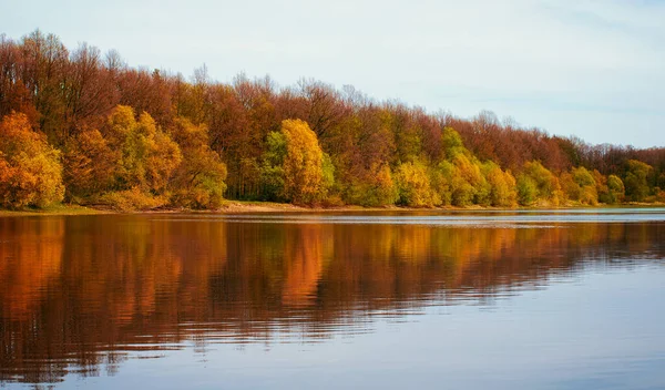 Panoramalandschaft Mit Waldsee Herbst — Stockfoto