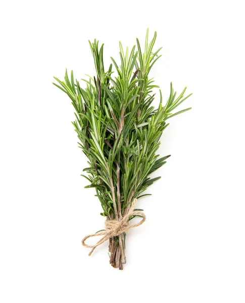 Rosemary Bound White Background Stock Picture