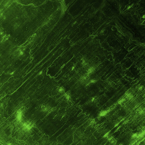 abstract green background texture