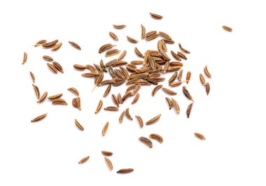 Caraway beyaz arkaplanda izole edildi.