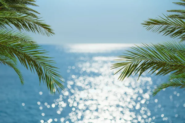 Размытие Красивой Природы Зеленый Пальмовый Лист Тропическом Пляже Боке Солнечный — стоковое фото