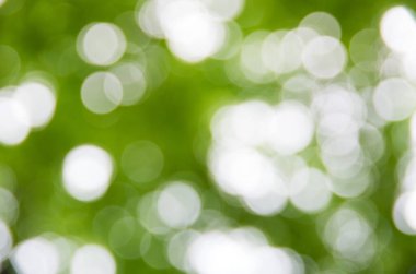 Doğal bulanık arkaplan dokusu