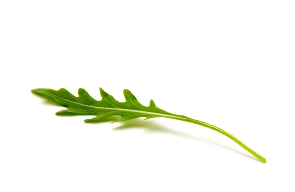 Зелений Лист Руколи Ізольований Білому — стокове фото