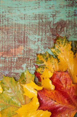 Ahşap arka planda sonbahar yaprakları