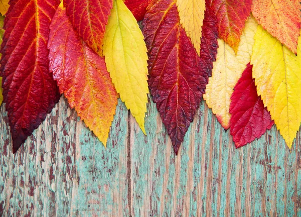 Autumn Leaves Wooden Background Copy Space — Stock Photo, Image