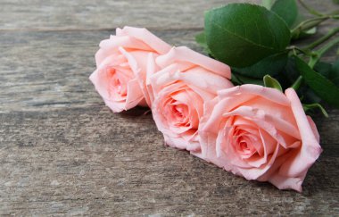 Ahşap masanın üzerinde pembe güller