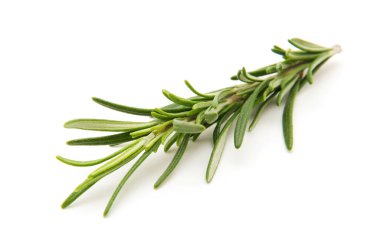 Beyaz arka planda bir dal biberiye