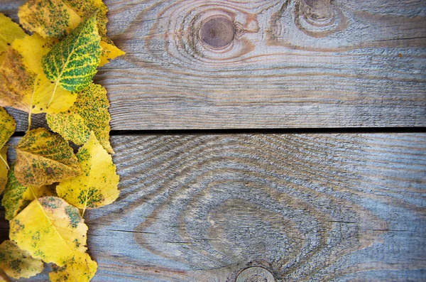 Осенний Фон Листьями Деревянной Доске — стоковое фото