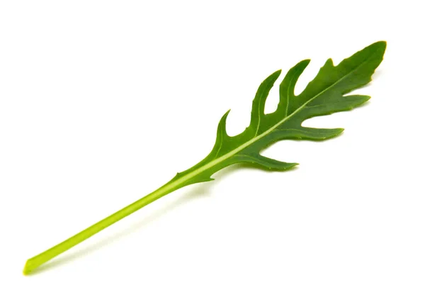 Groene Arugula Blad Geïsoleerd Wit — Stockfoto