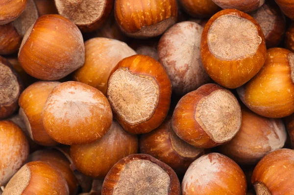 Nuts Hazelnuts Background — Stock Photo, Image