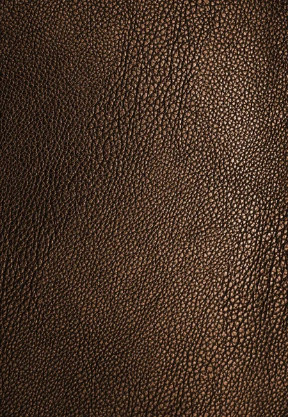 Pelle Marrone Sfondo Texture — Foto Stock