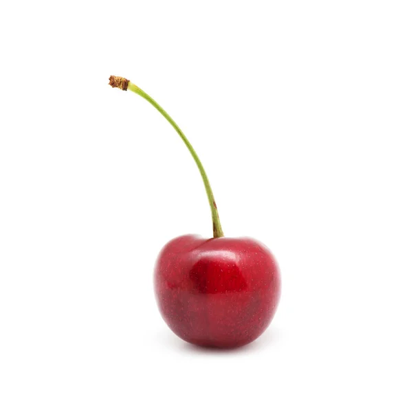 Cherry Isolated White Background — Stock Photo, Image