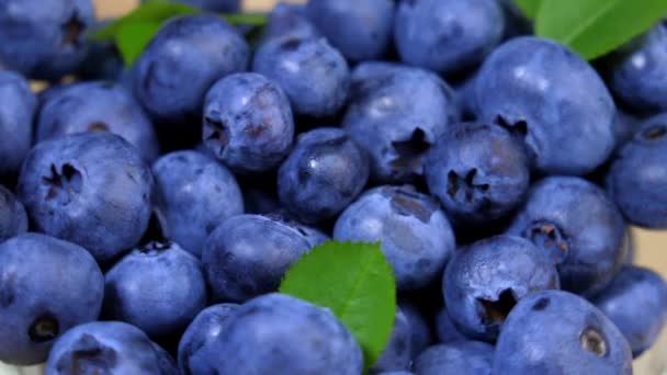 Blueberry Bersinar Juicy Perlahan Berputar Atas Piring — Stok Video
