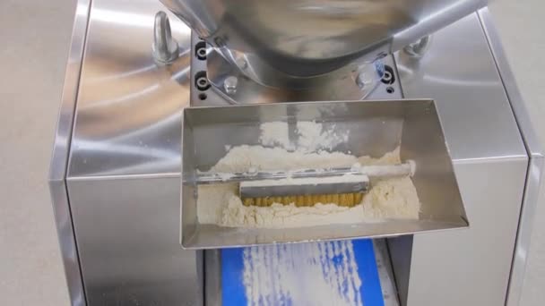 Proces Produkcji Chleba Fabryce Maszyna Pieczenia Chleba — Wideo stockowe