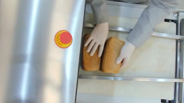 Brotschneidemaschine Der Fabrik Zubereitung Von Brot Zum Schneiden — Stockvideo