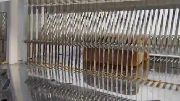 Krajalnica do chleba w fabryce. Noże kroją chleb — Wideo stockowe