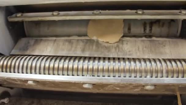 Mesin penjepit adonan. Membuat adonan untuk pasta di pabrik — Stok Video