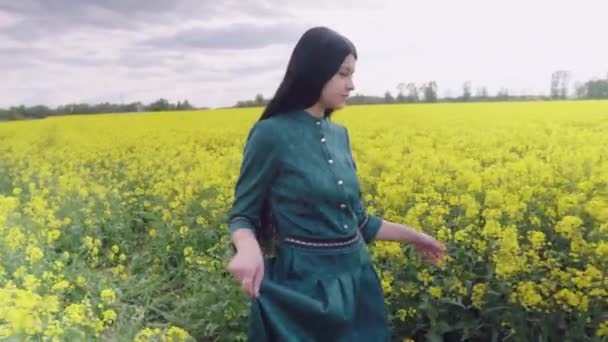 黑发姑娘走在一片开花的田野上 用手提起她的衣服 女孩摸着花 — 图库视频影像