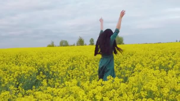 一个穿着绿色衣服的黑发女人在一片繁茂的橘红色田野里跳着旋转着 女孩的手被举到天上 长发在风中飘扬 — 图库视频影像