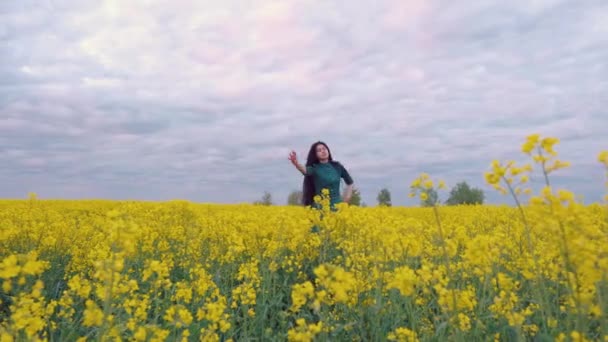 Egy Lány Naplemente Hátterében Táncol Virágok Mezején Sötét Hosszú Haja — Stock videók