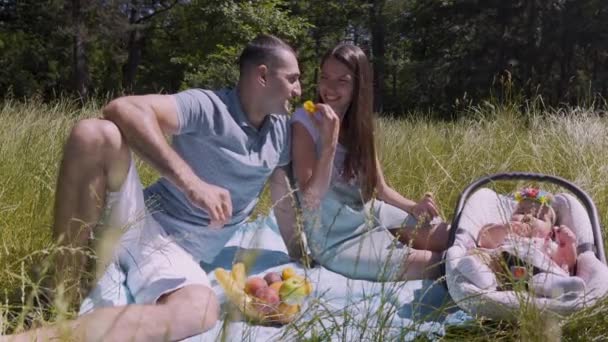 Un jeune couple se repose dans la nature avec son enfant. — Video