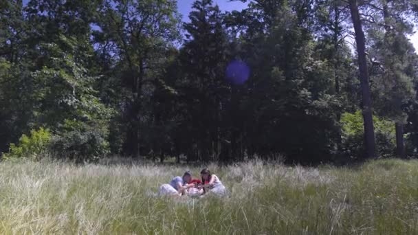 Pareja joven con un niño en el prado. Plan global . — Vídeos de Stock