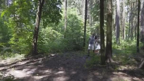 Una joven pareja con un niño pequeño está caminando por el bosque . — Vídeo de stock