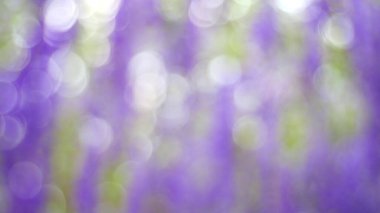 Arkaplan için Bokeh, soyut bulanık ışık