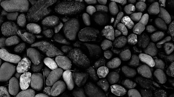Schwarzer Stein Hintergrund Nahaufnahme Kieselstrand Stein Hintergrund — Stockfoto